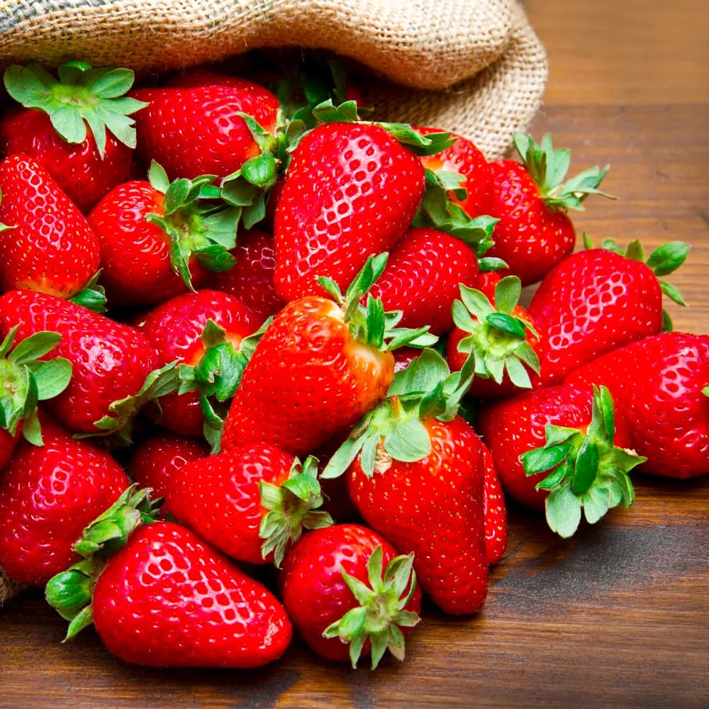 Fresh Organic Strawberries From South France - الصورة 2