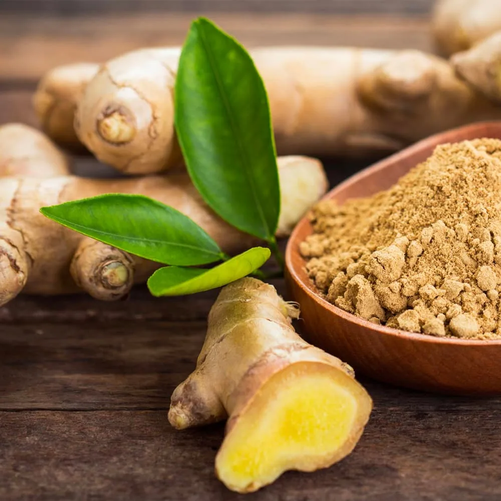 International Fresh Organic Ginger Premium Export - الصورة 2