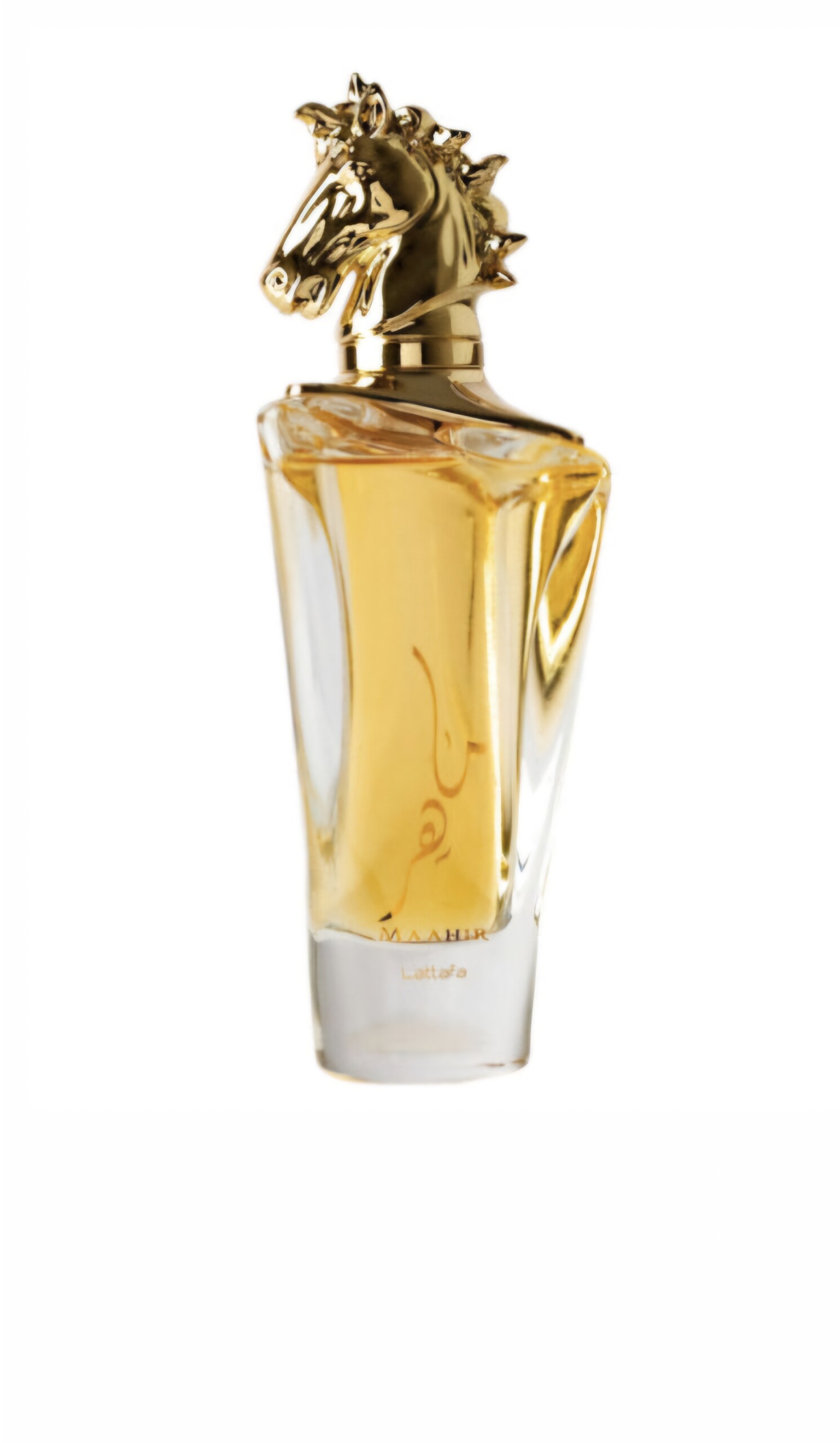 ماهر جولد - الصورة 2