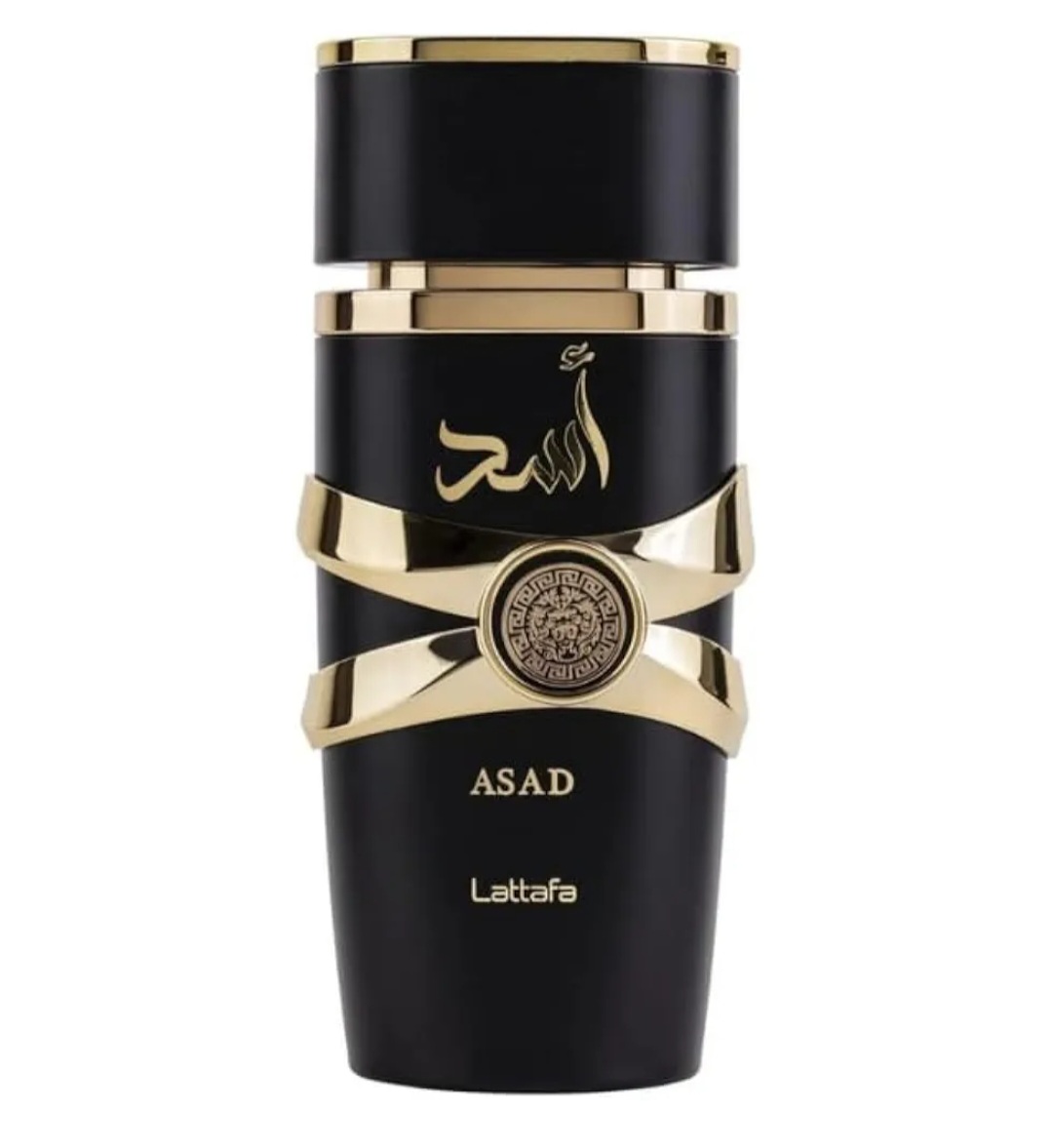 اسد - الصورة 5