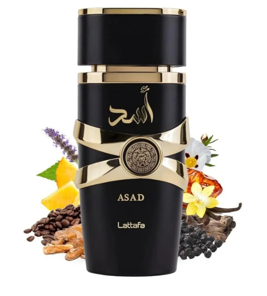 اسد - الصورة 4