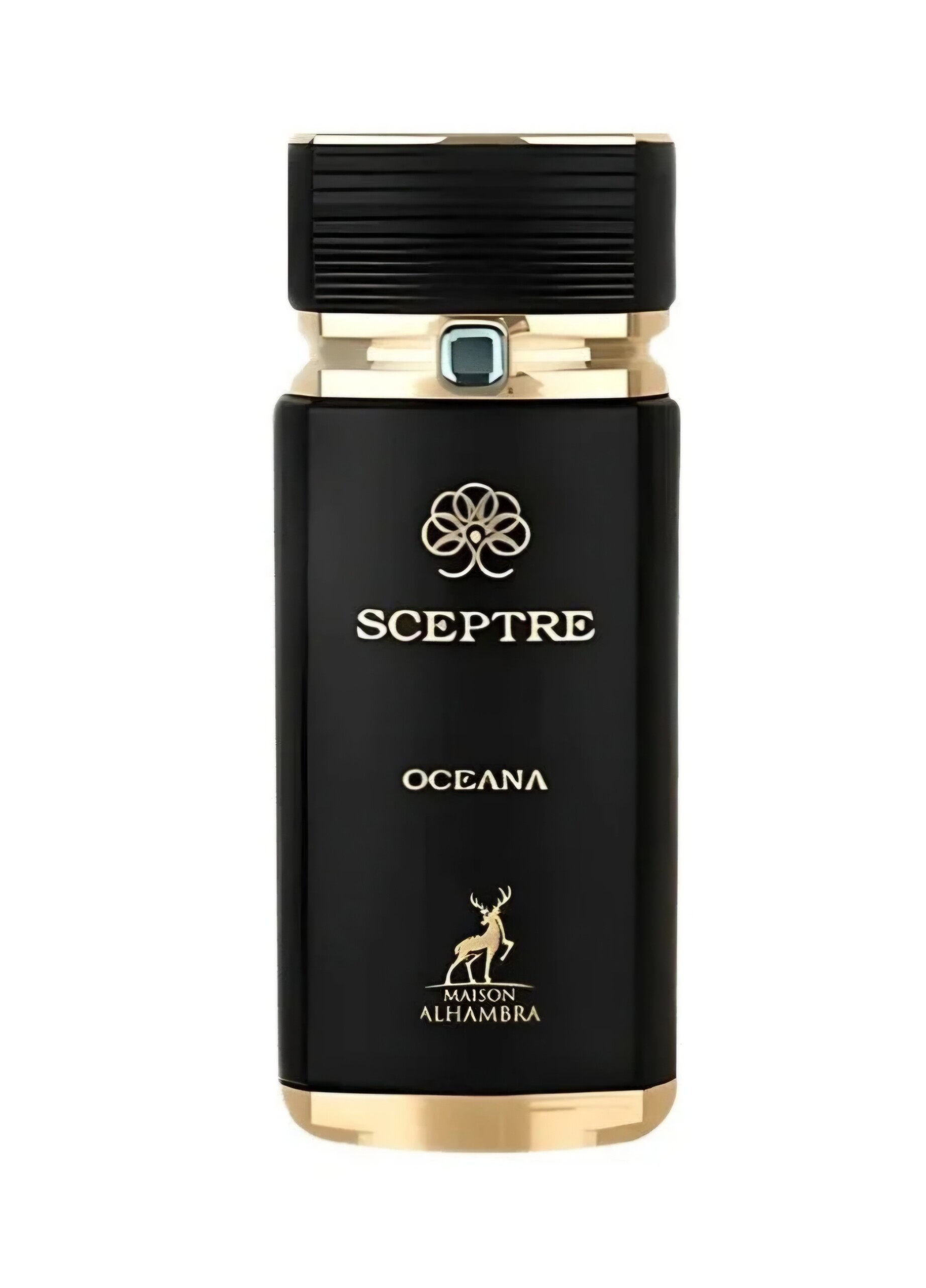 SCEPTRE OCEANA - الصورة 2