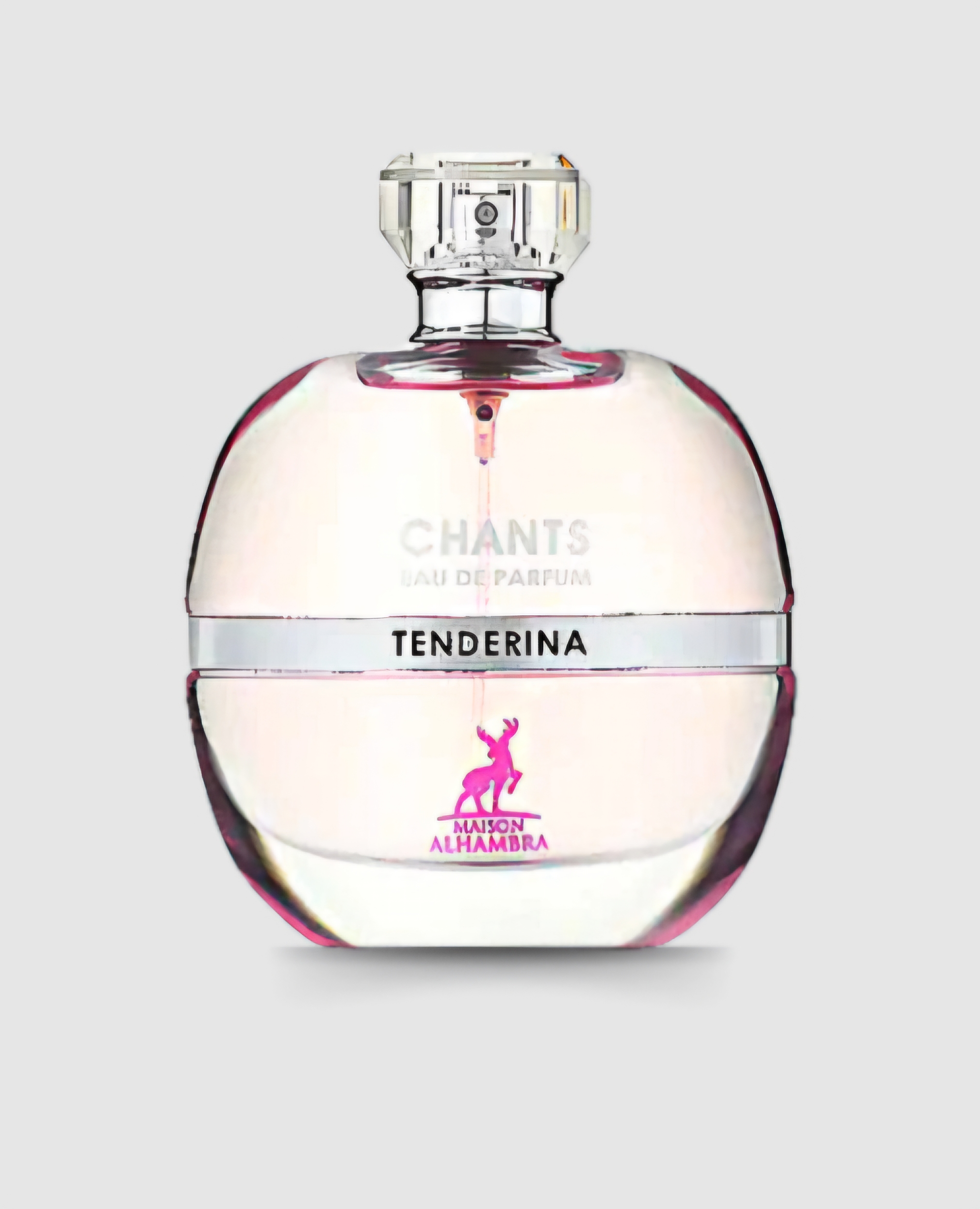 CHANTS - الصورة 4